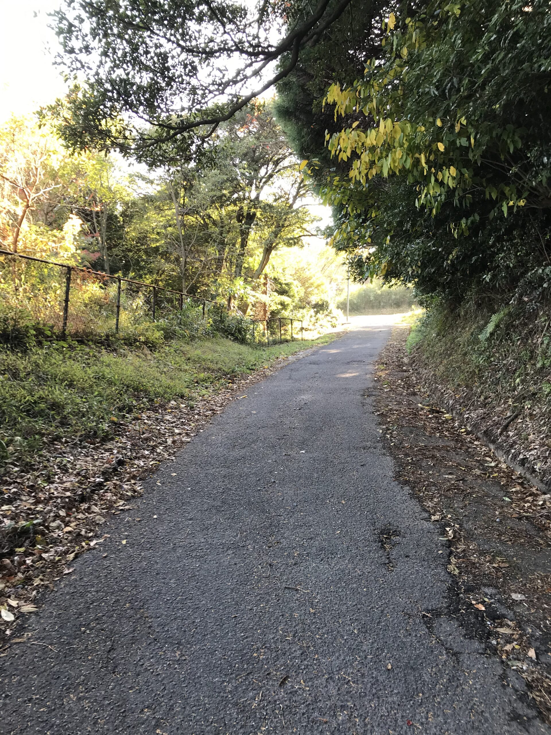 oku-myouban-sansou-road