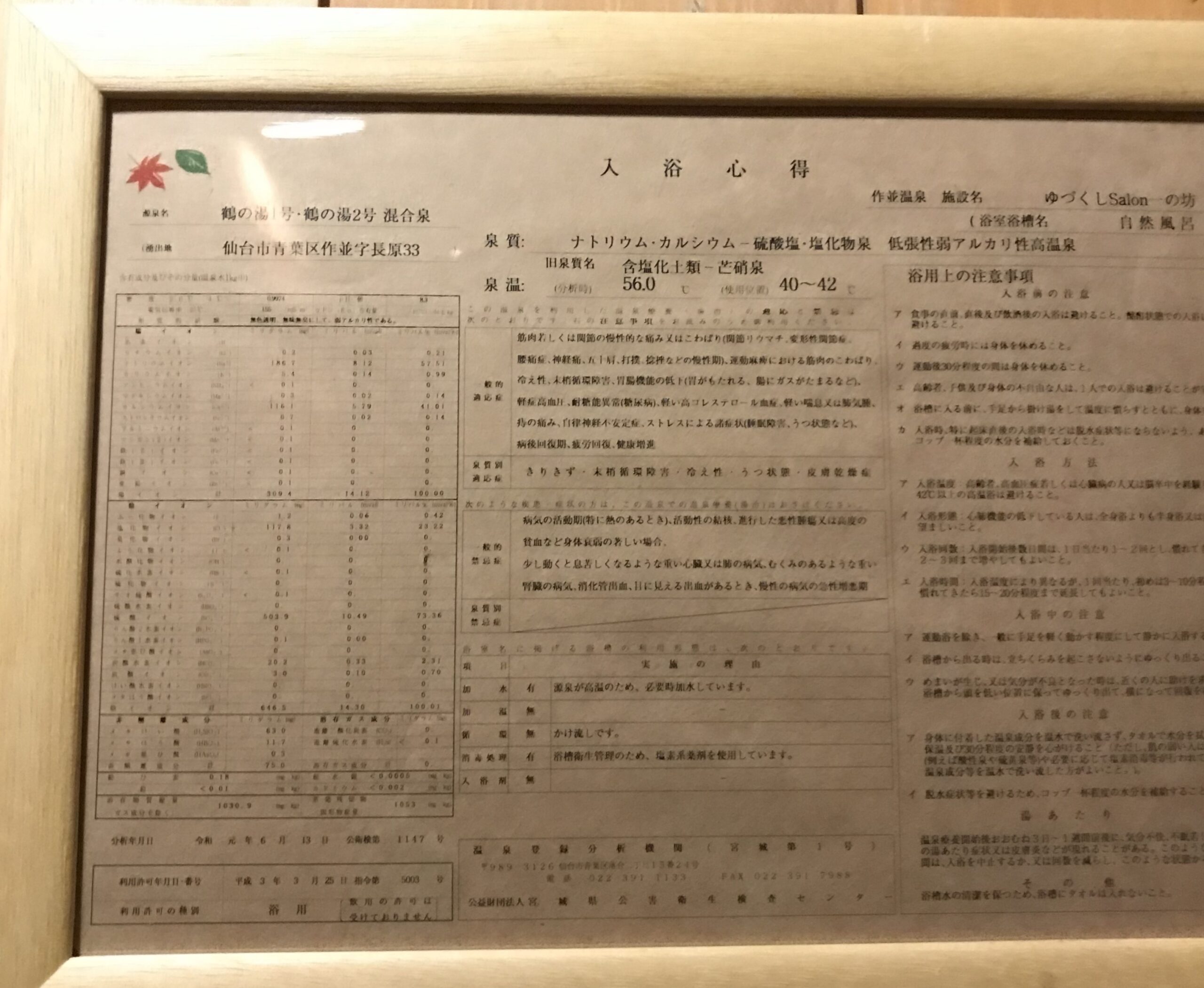 sakunamionsen-analysis